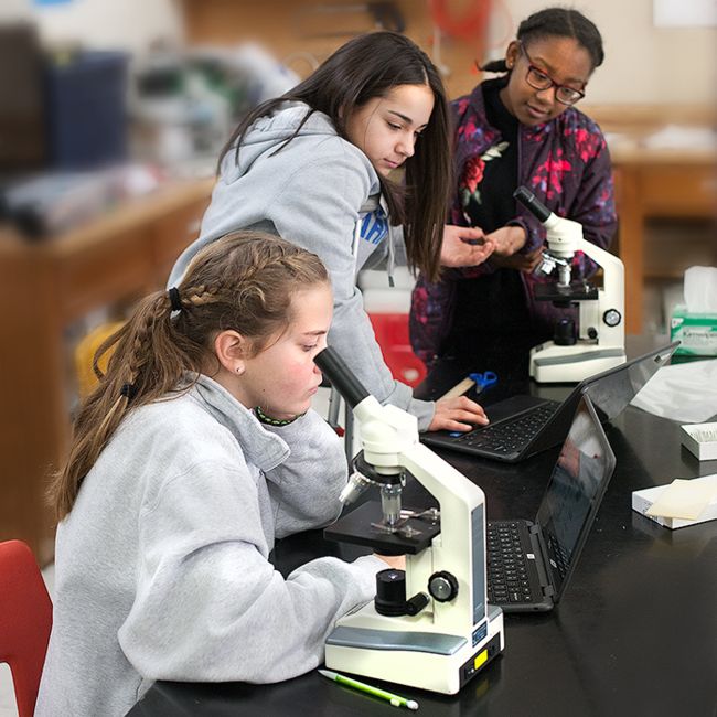 7th grade science working with microscopes